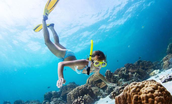 Animals and Snorkel Combo